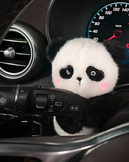 Panda